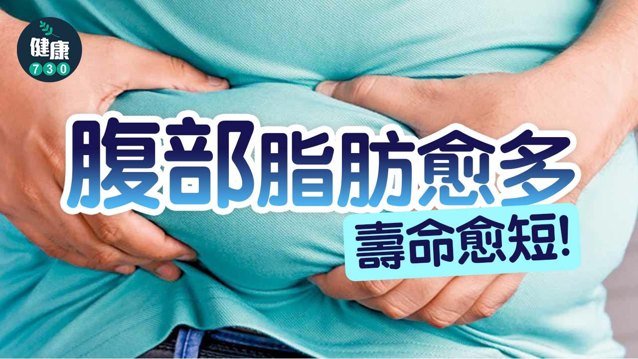 腹部脂肪愈多 壽命愈短！