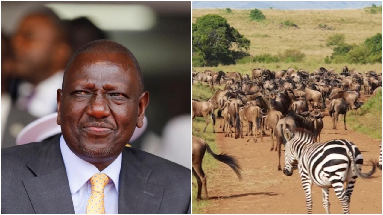 這國宣布明年起全球旅客免簽入境，為全球首國。(資料圖片)