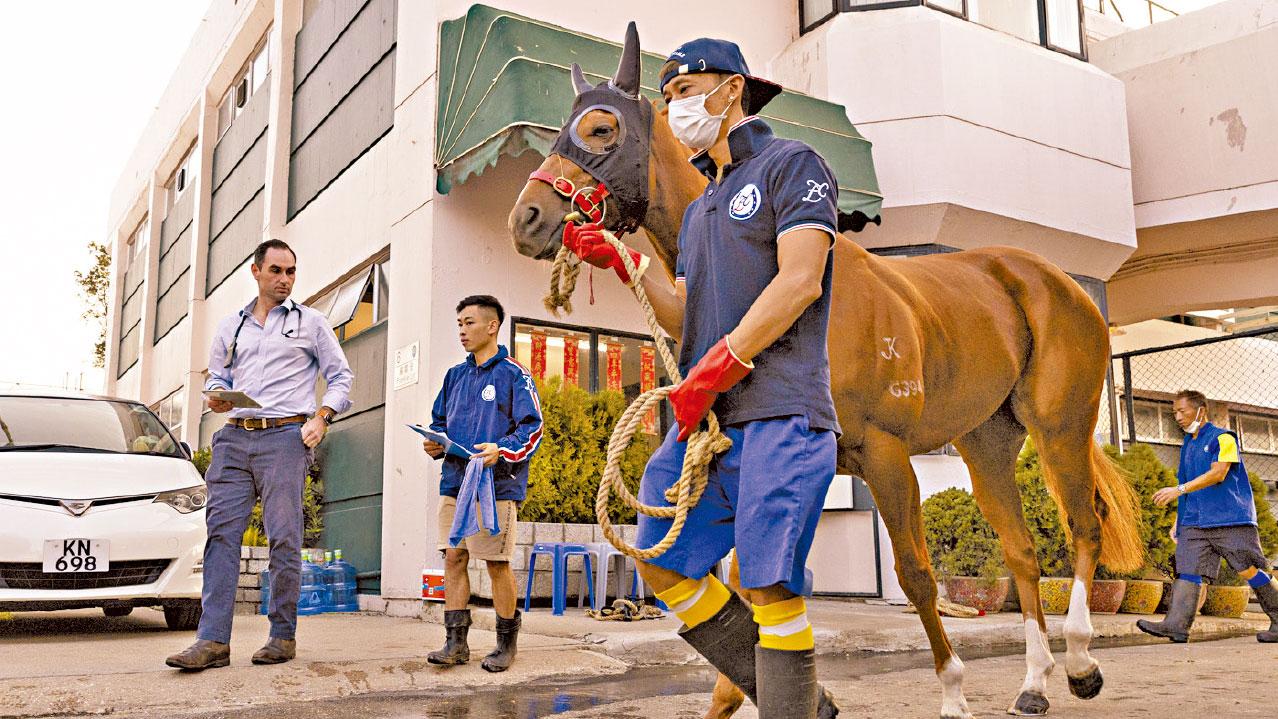 周日國際一級賽 嚴謹檢查賽驅 海外馬匹全程分隔免交叉感染