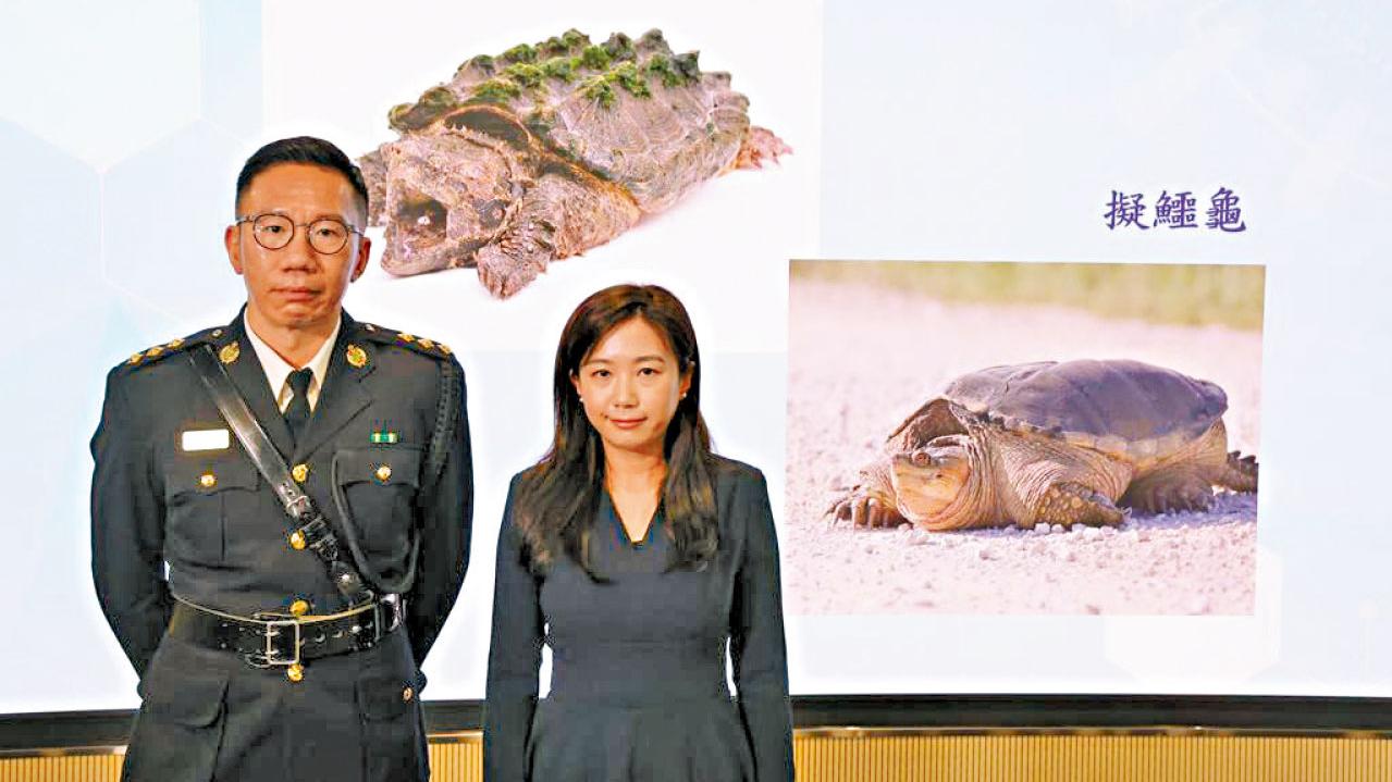 瀕危動植物條例附錄修訂今生效 大部分魚翅及紅景天出入口要有許可 