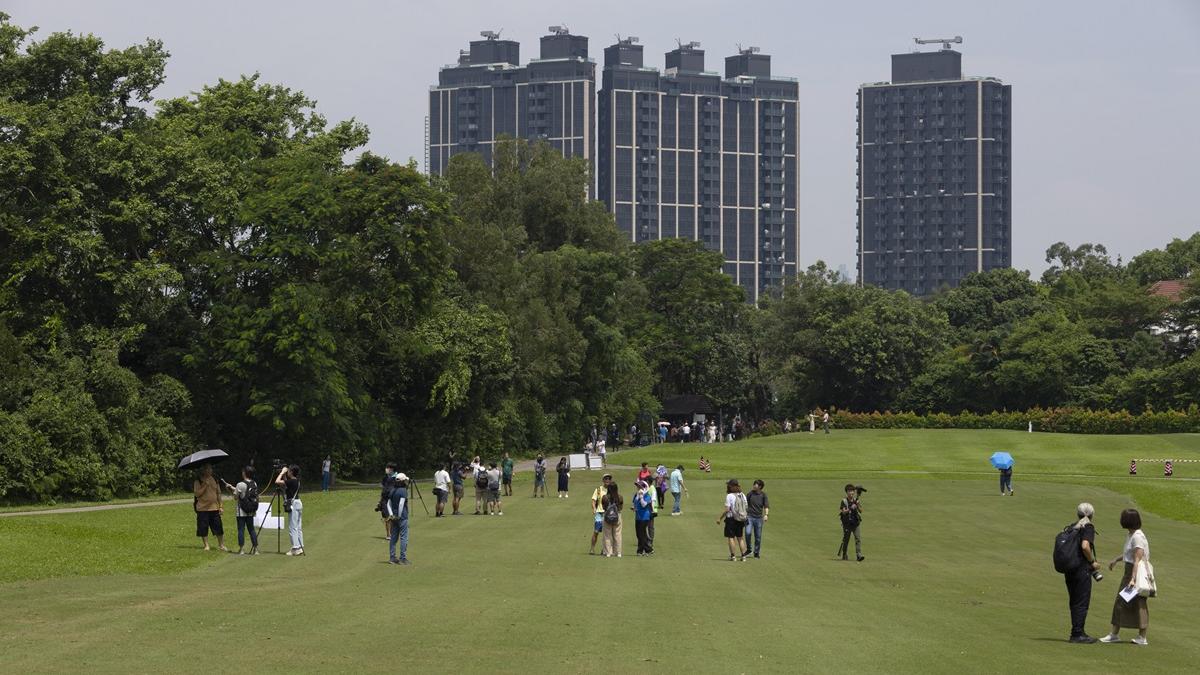 位於粉錦公路以東的公園。(資料圖片／蘇文傑攝)