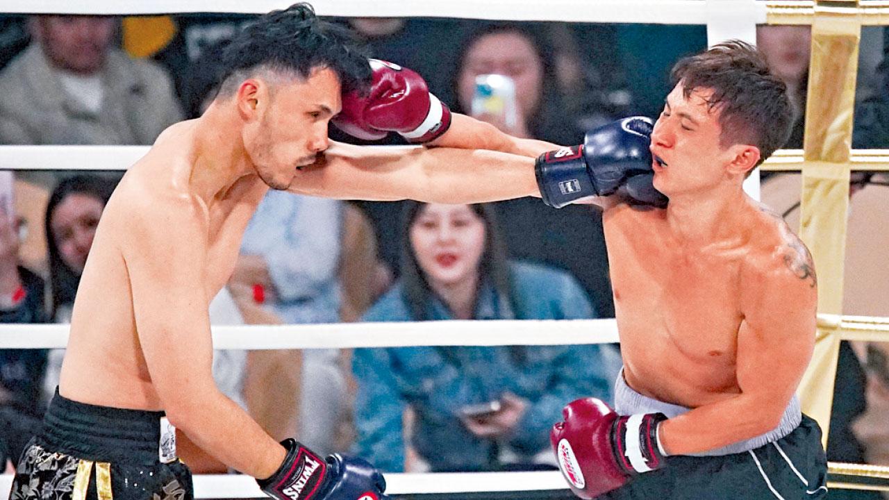 洛奇、拳擊、勵志、培心擂台盃