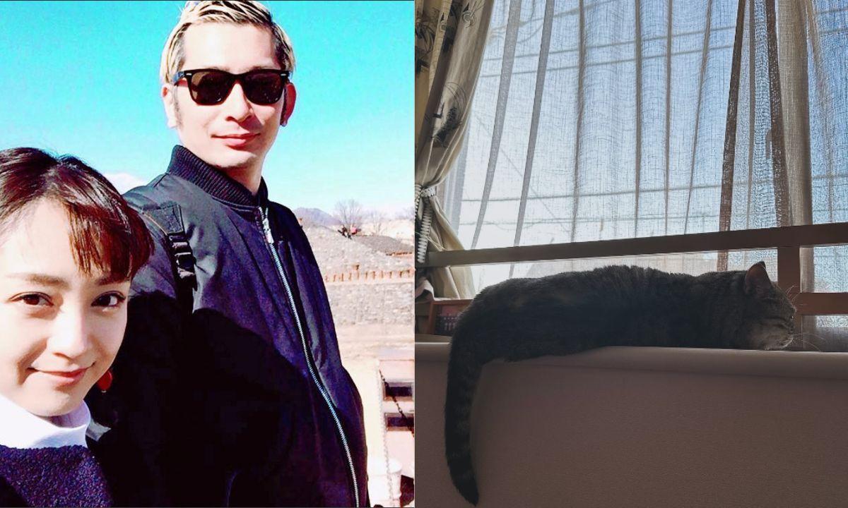安達祐實離婚｜曬可愛貓相宣布與攝影師桑島智輝走到盡頭 「無論作為母親或演員都會更加敬業」
