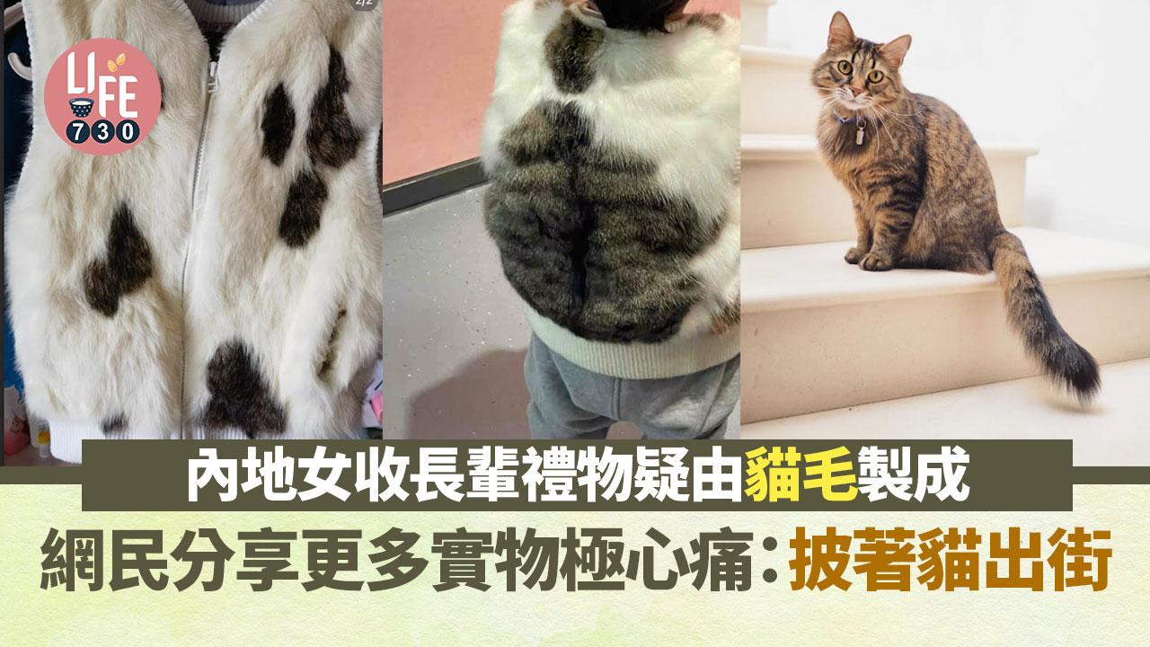 內地女驚揭外套由貓毛製成 大批網民心痛留言：睇到貓形狀