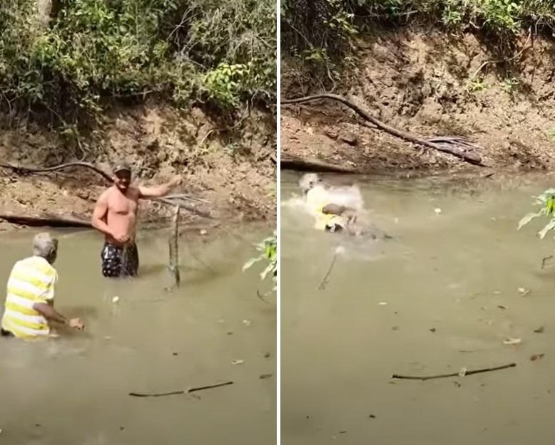 友人拿著電鰻，席爾瓦上前(左)，徒手捉電鰻即觸電跌進水裡(右)。(互聯網)