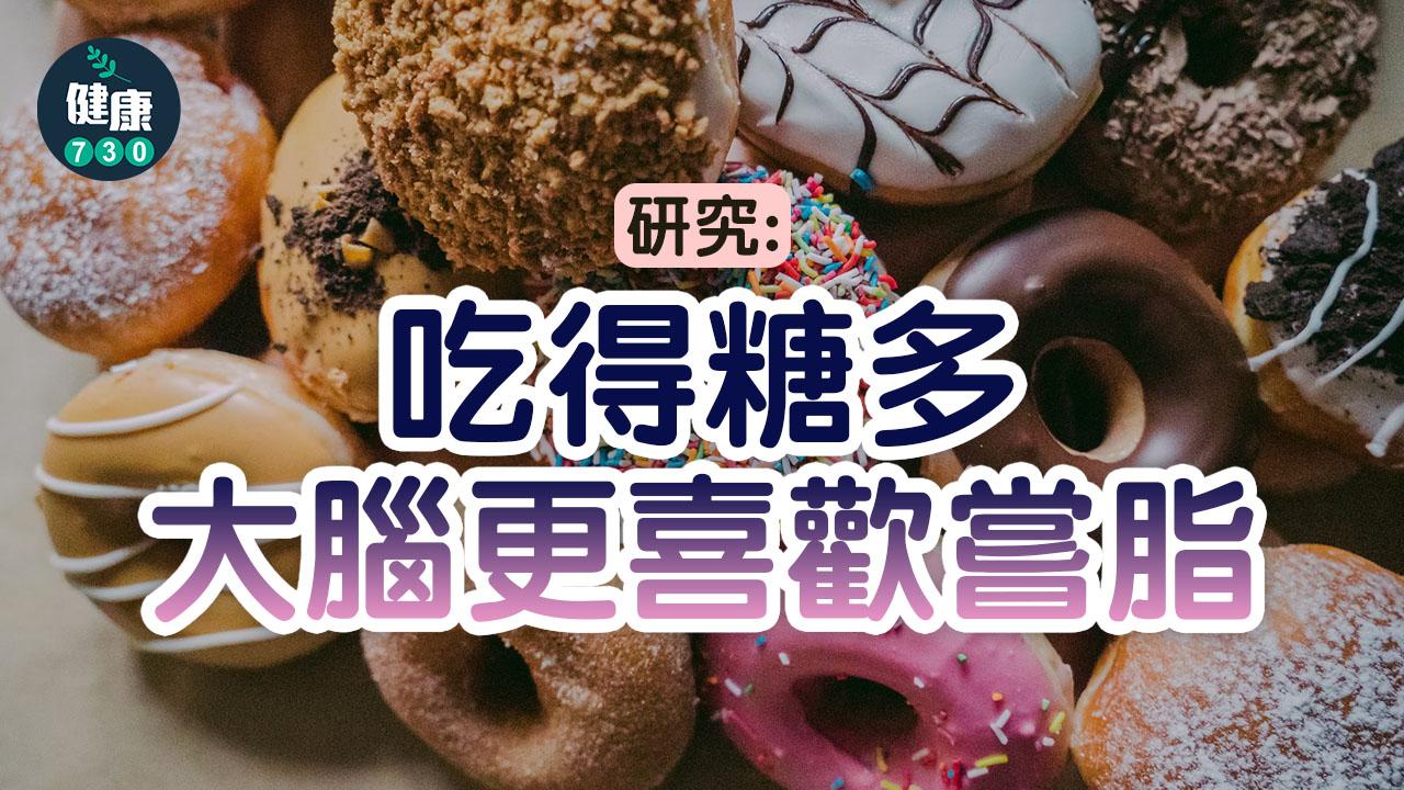 研究：吃得糖多 大腦更喜歡嘗脂