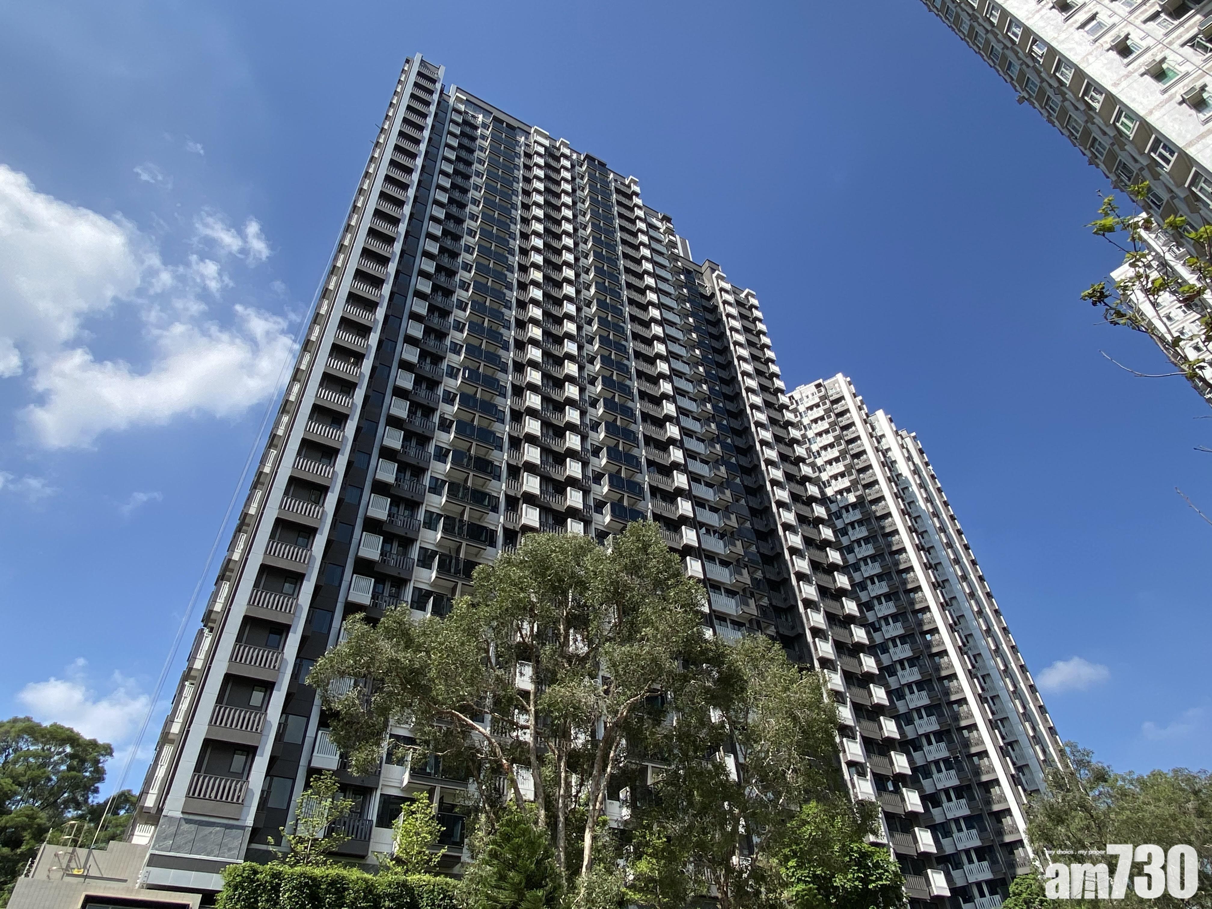 入伙4年的屯門御半山，獲上車客趁樓價跌入市，斥460萬元購入一房，樓價5年大跌逾三成。