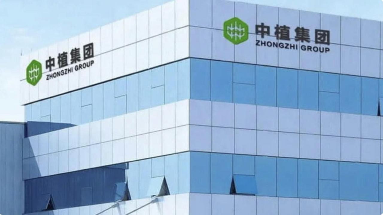 中植破產火燒連環船