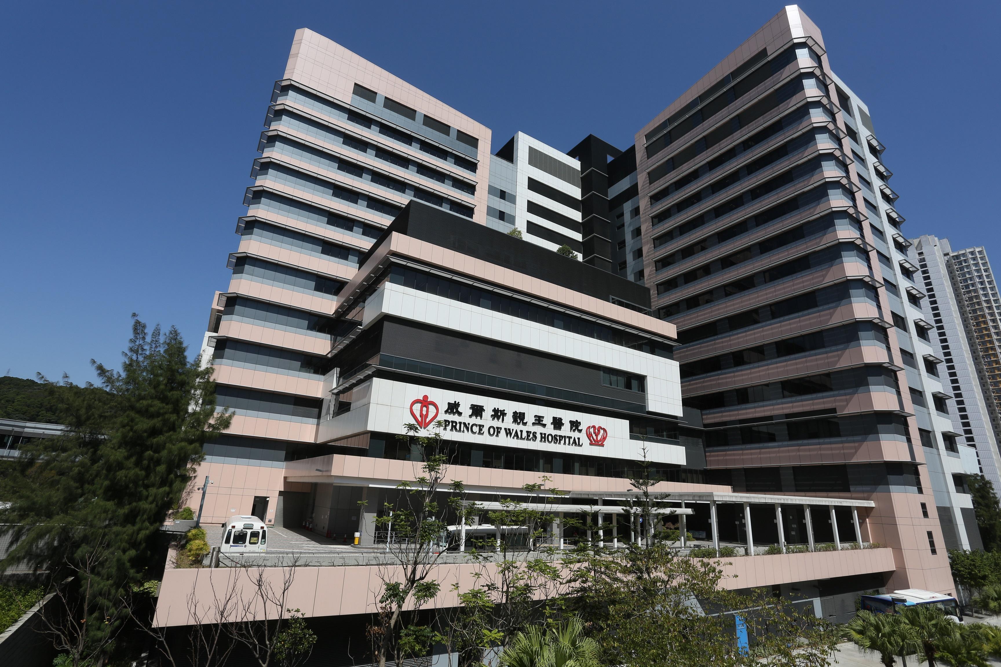 九肚山母子帶4狗散步被六旬夫婦指「發癲咬人」起爭執 4人同送院齊被捕