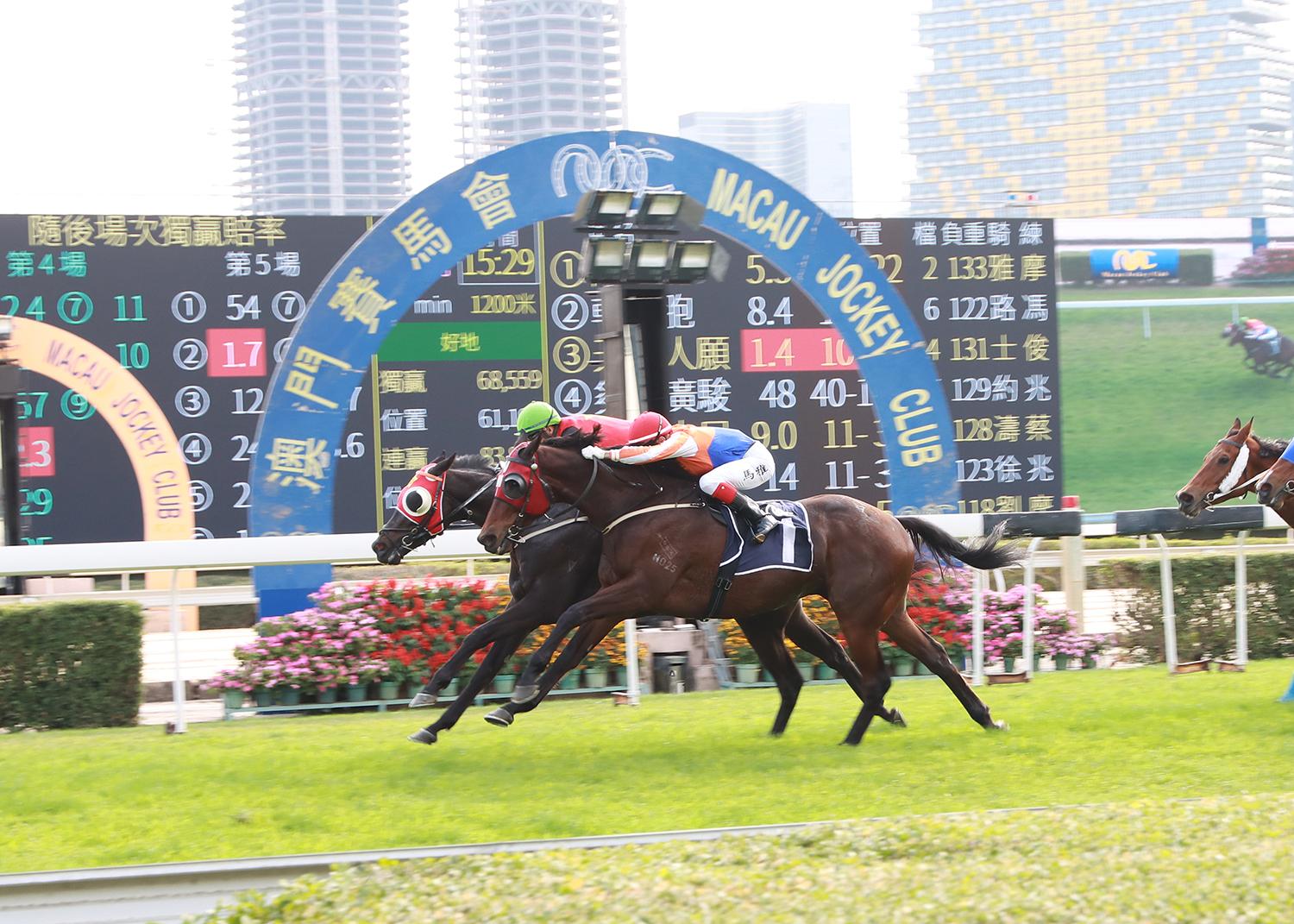 澳門政府公布由4月1日起，解除澳門賽馬會專營批給合同。(澳門賽馬會圖片)