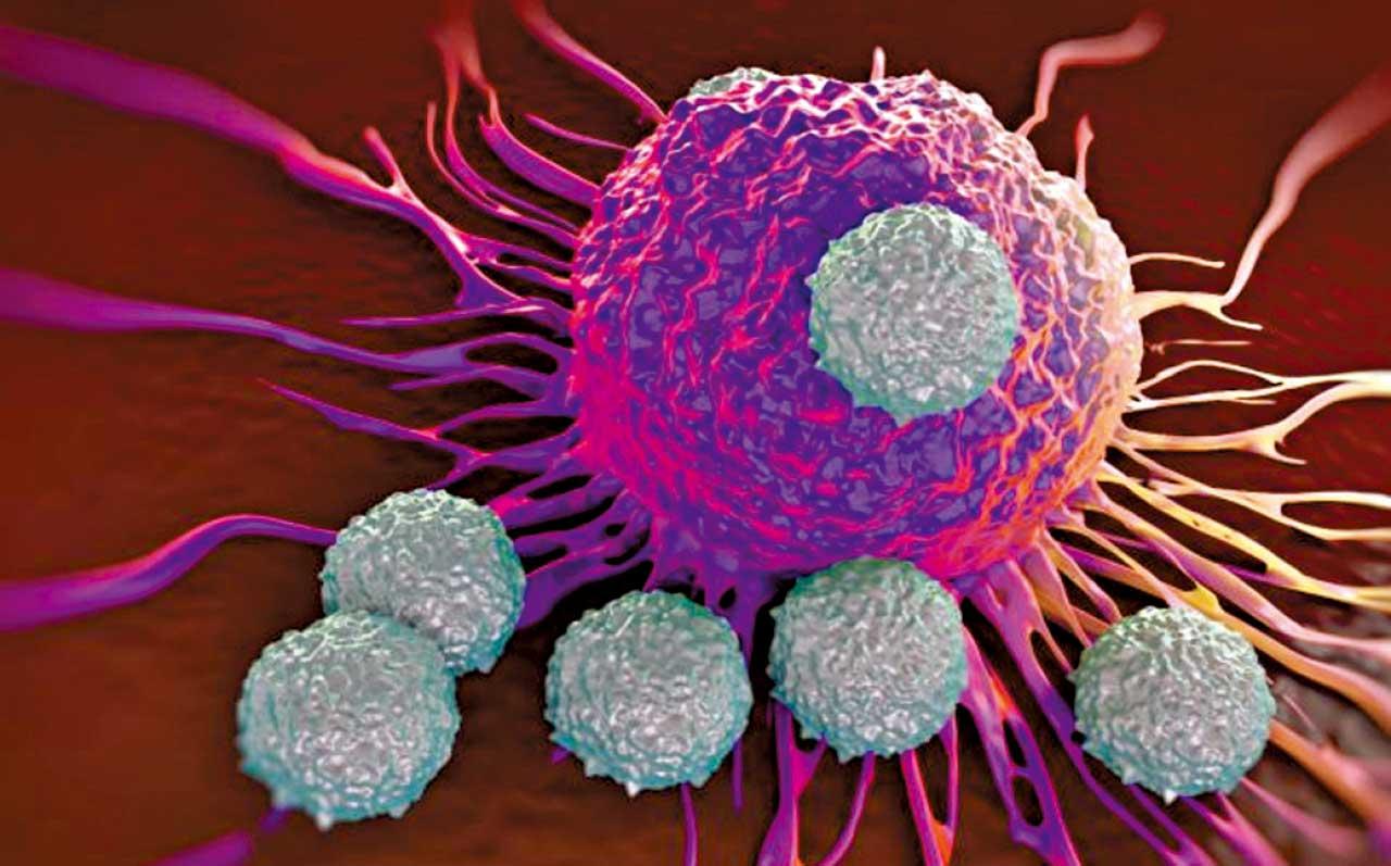 肺癌的免疫治療