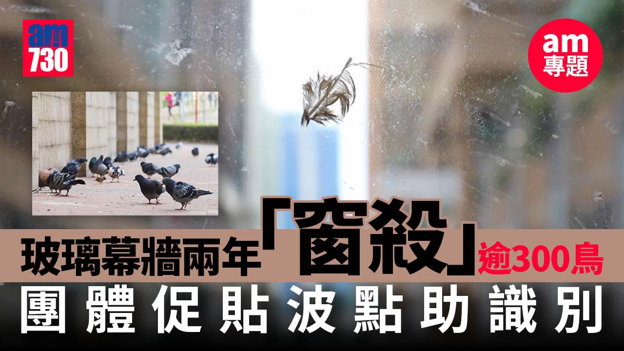 am專題｜玻璃幕牆兩年「窗殺」逾300鳥　團體促貼波點助識別