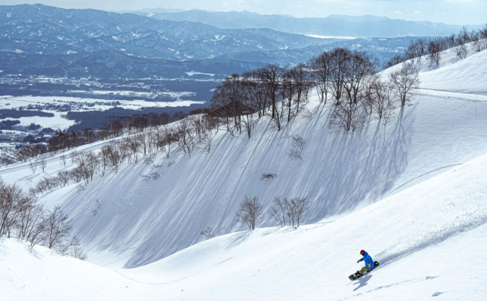 中國遊客在日本滑雪再出現致命事故，一名50多歲的男遊客在新潟縣滑雪場失蹤，其後在禁區的雪洞內找回，送院後證實死亡。當地警方正調查事件。（資料圖片）