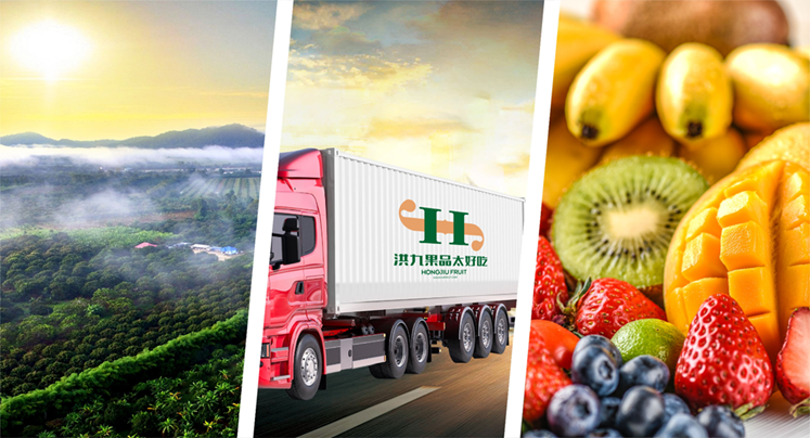 洪九果品配股籌8億 上市16個月三度抽水