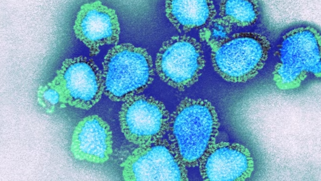 國家疾控局周二(1月30日)通報，浙江省發現一宗H3N2與H10N5混合感染病例，63歲女患者死亡，專家評估病毒感染人的風險低，未發生人傳人，為一次偶發的禽到人的跨種屬傳播。（資料圖片）