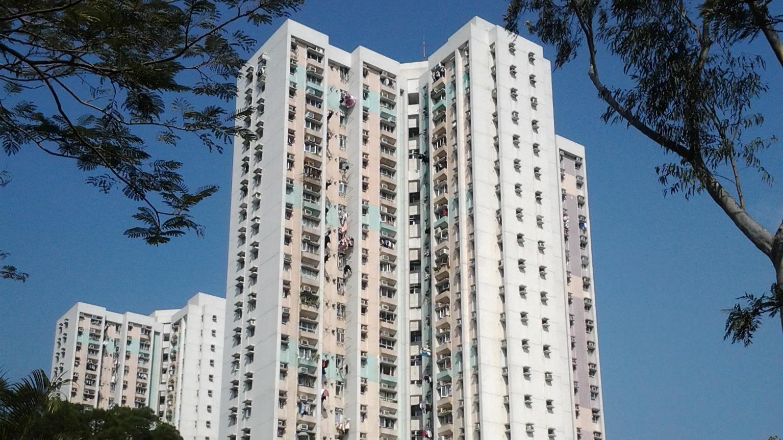 一二手齊發 今年居屋交投料續旺