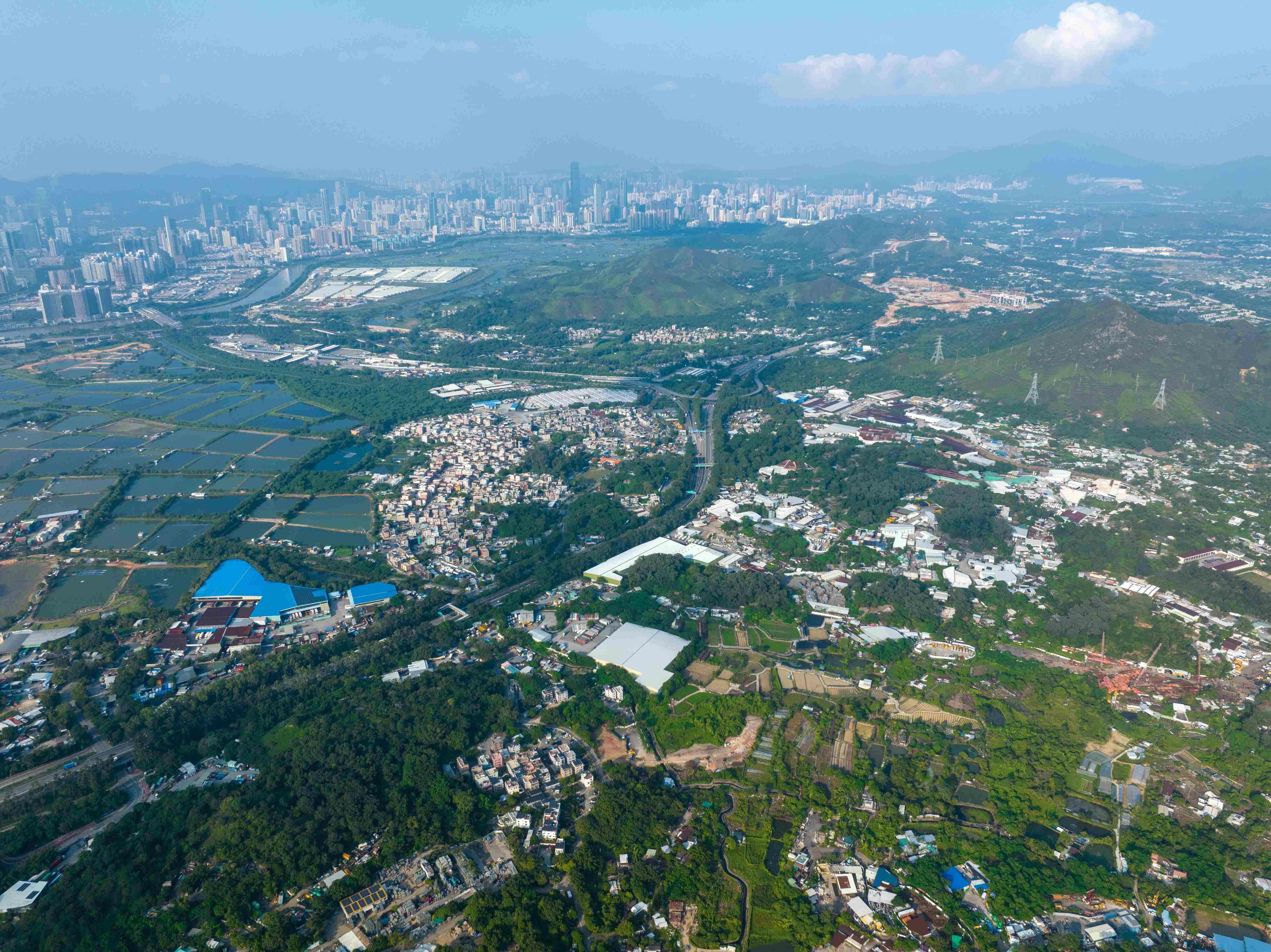 規劃署擬向新田科技城247公頃濕地「開刀」，將其從受發展限制的範圍中剔除。（資料圖片）