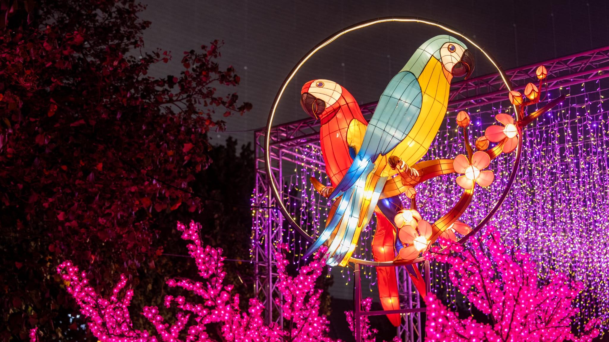 康文署在3區舉辦元宵綵燈會。(林靄怡攝)