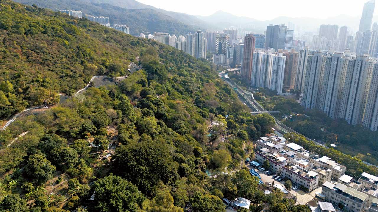 暫僅推8幅住宅地 陳茂波︰考慮市況