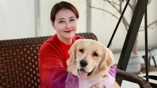 周海媚愛犬周墩墩獲有心女星照顧 周六六由經理人照顧