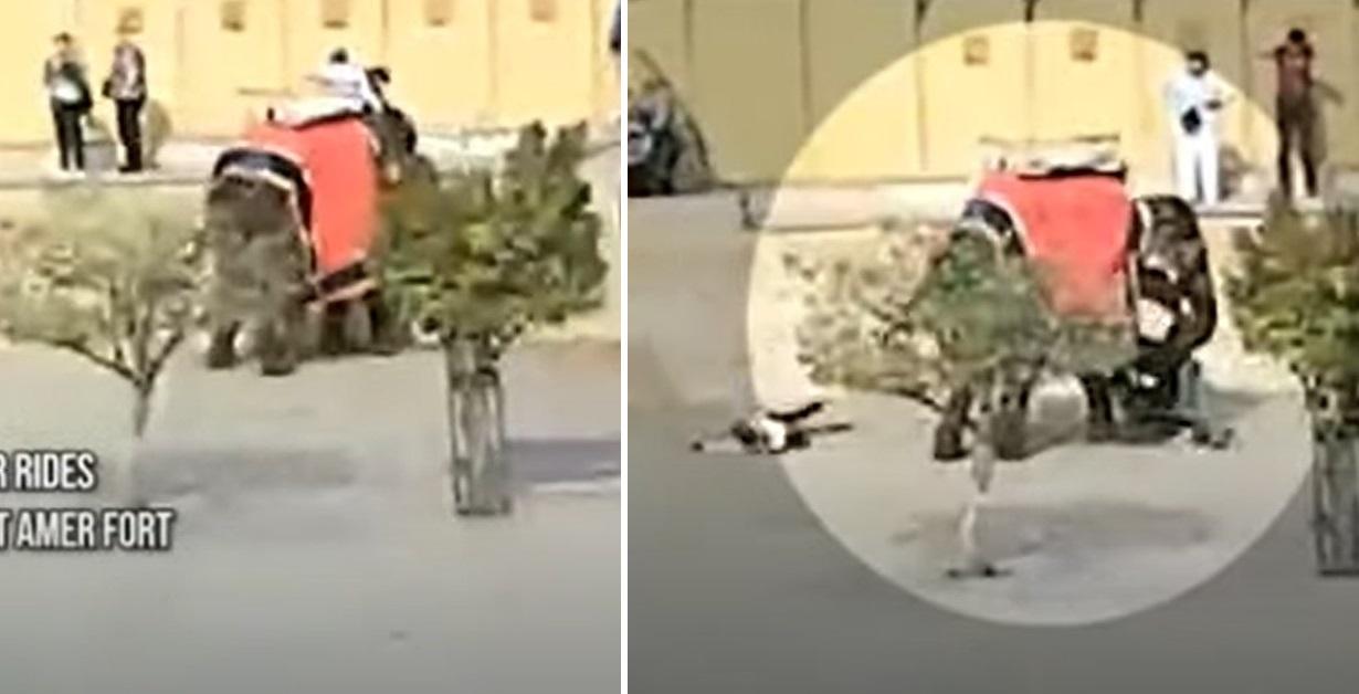 大象用象鼻抓住女遊客(左)，再轉圈，最後把象背上的遊客摔落地上(右)。(互聯網)