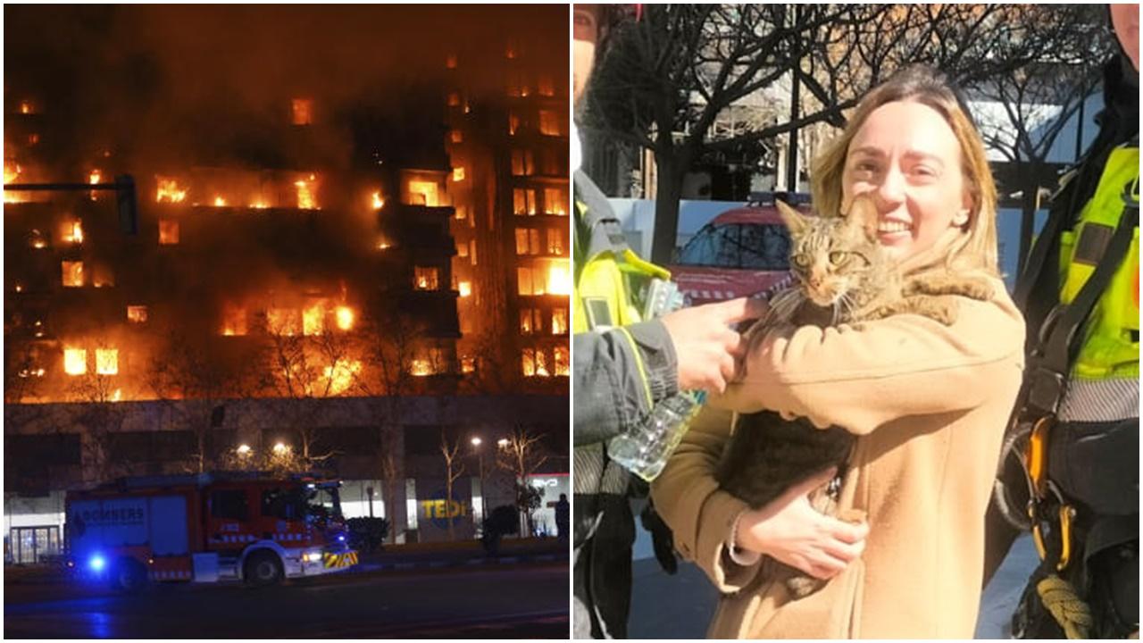 西班牙公寓燒通頂，貓咪火場躲8日奇蹟獲救。(FB)