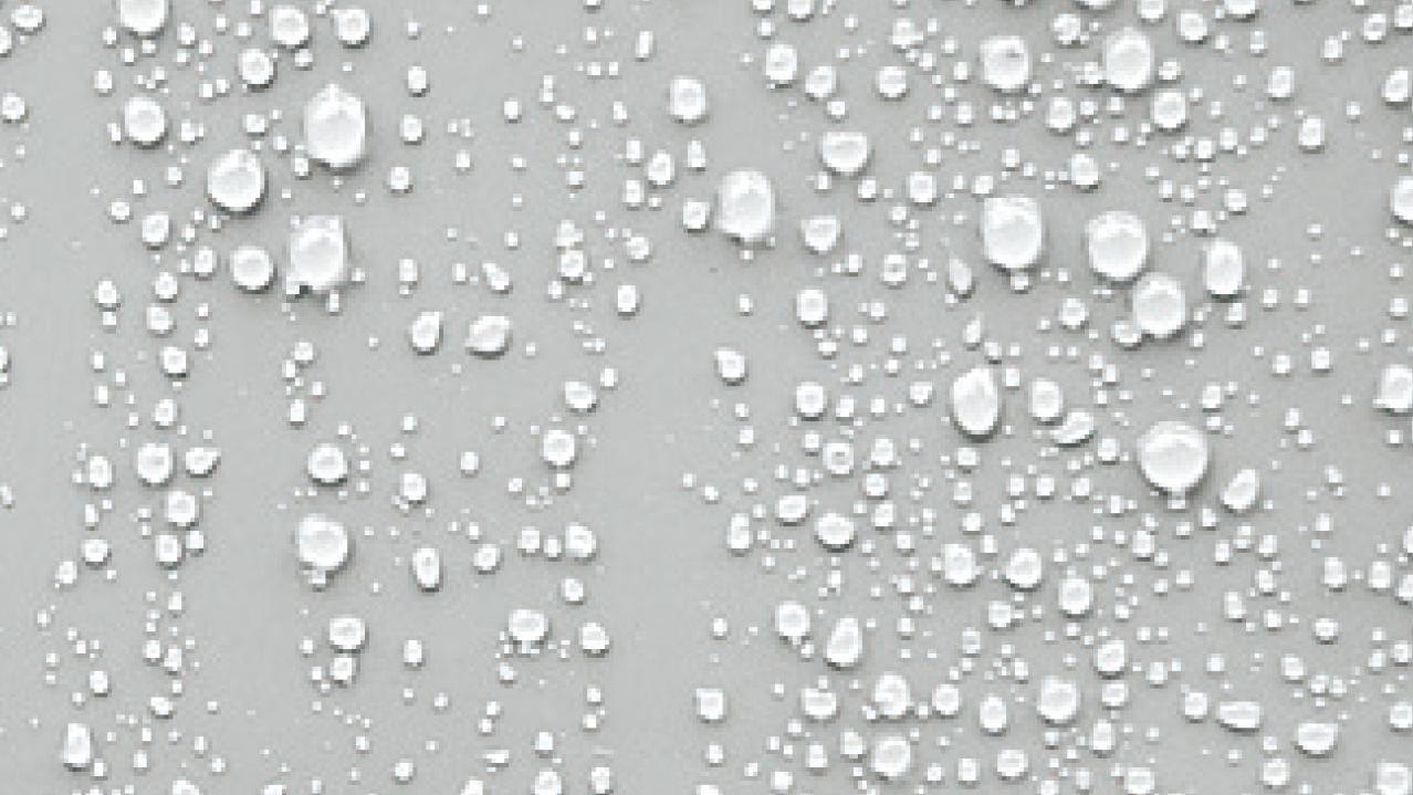 今日相對濕度高達100% 周二冷鋒橫過  周三最低16度