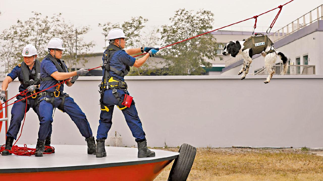 世界海關組織區域犬隻訓練中心在港開幕 關長冀提升亞太區執法能力