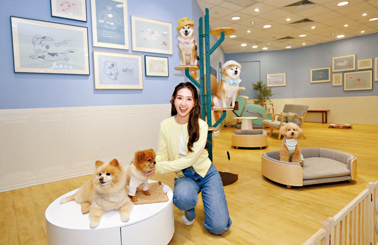 北角匯新增3大寵物設施 全港首創VIPet Lounge