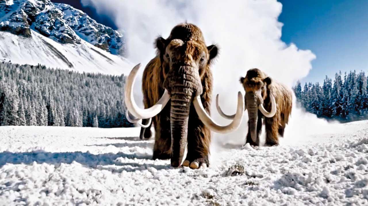 數據科普｜Sora與預算案：在科技飛躍時代的政策思考