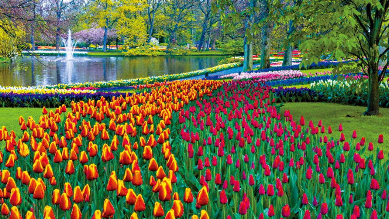 每個月 遊歷世界之最