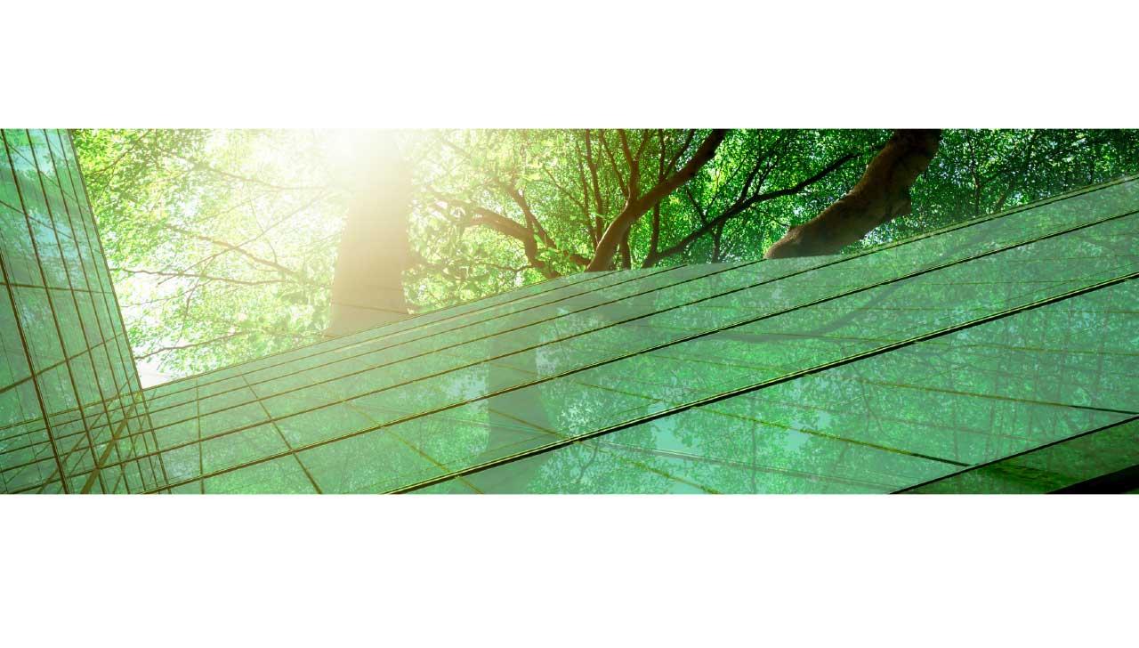 促進可持續發展 打造綠色未來