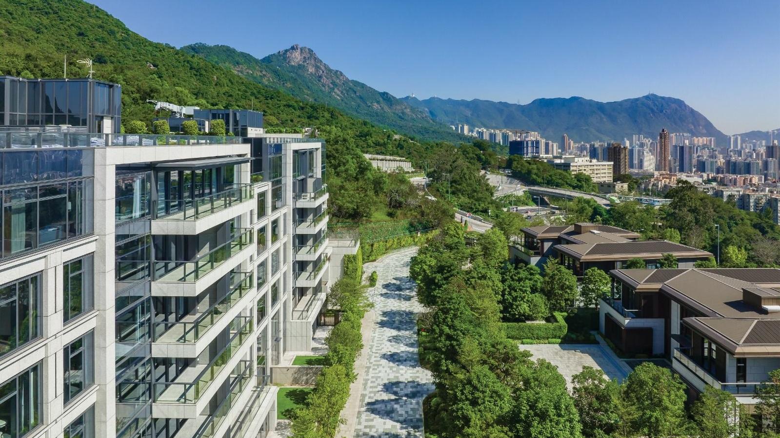 緹外推逾8000呎頂層五房複式大宅 周日起招標發售｜豪宅市況