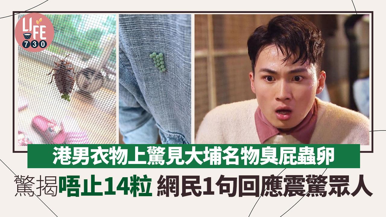 港男衣物上驚見大埔名物 發文求救點解多咗粒 網民1句回應震驚眾人