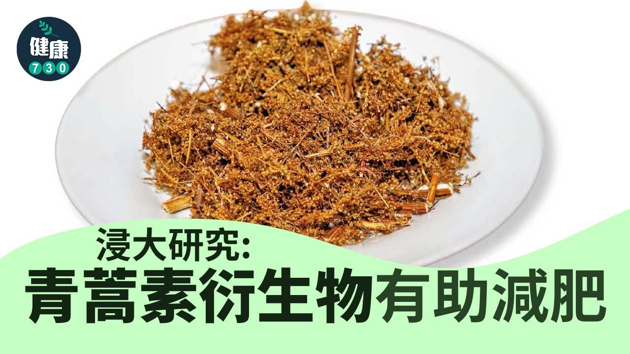 浸大研究：青蒿素衍生物有助減肥