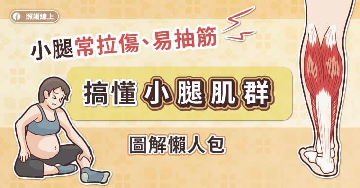 小腿常拉傷、易抽筋，搞懂小腿肌群(圖解懶人包)