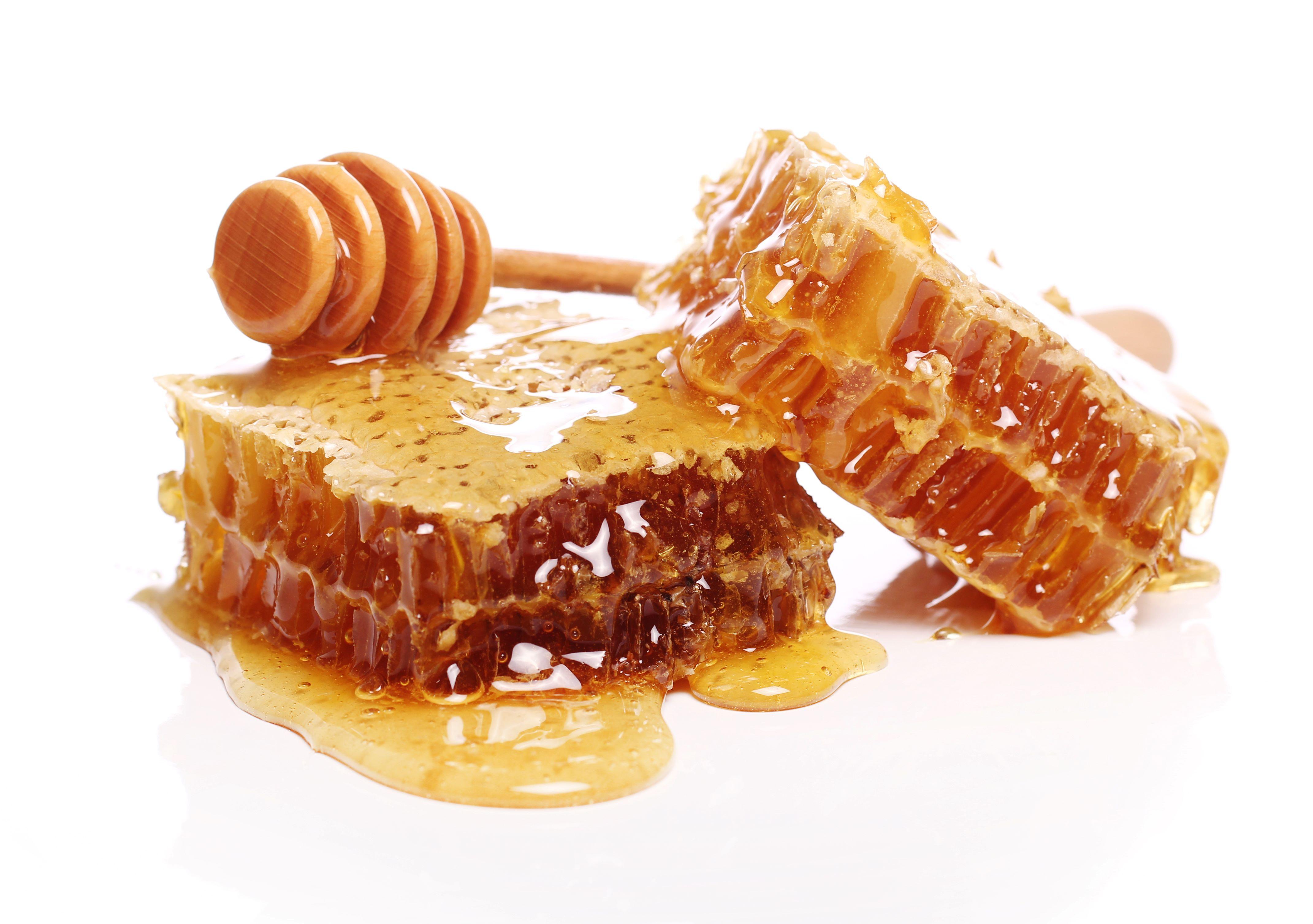 fresh-honeycombs_1.jpg