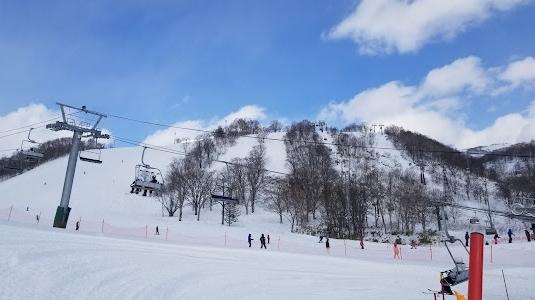 北海道新雪谷町是熱門滑雪勝地。(互聯網)