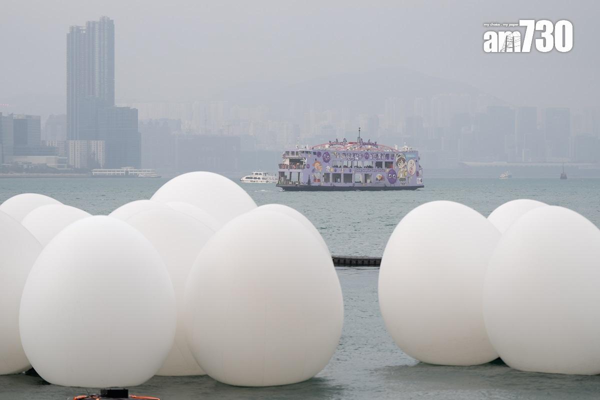 teamLab展覽耗資5000萬元　楊潤雄：為吸引人士參與而決定不收費