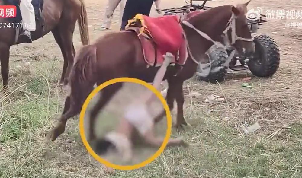 河南8歲男童騎馬被倒掛拖行身亡，父親：馬場無比頭盔。(微博)