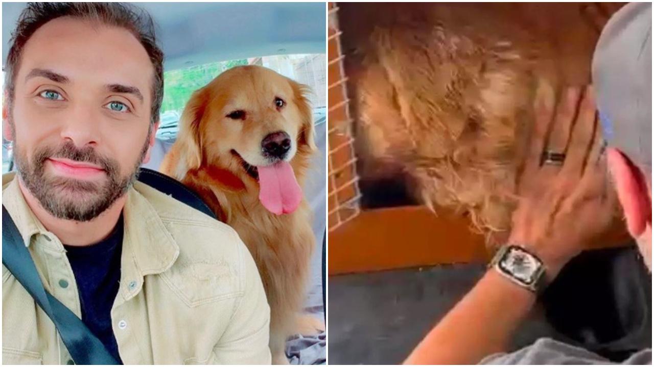 愛犬獨坐8小時飛機無水飲，心臟驟停慘死。