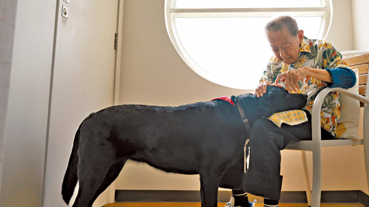 導盲犬服務中心安排友伴犬長駐院舍 長者︰為單調生活添趣味