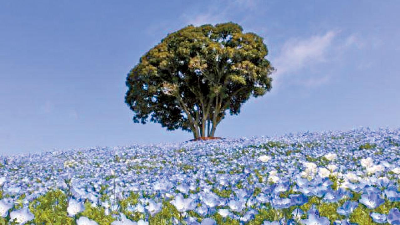 東瀛遊 北海道、東京、大阪短線遊全攻略 有限假期無限玩樂體驗
