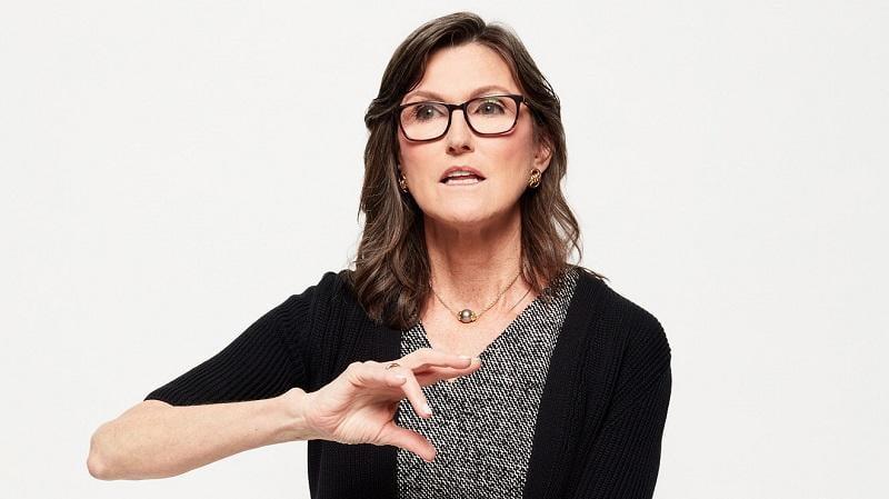 Cathie Wood旗下基金入股OpenAI　涉資5400萬美元