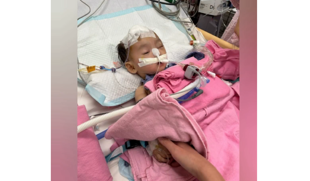 小雪兒頭蓋骨接回手術將於下月進行。(影片截圖)