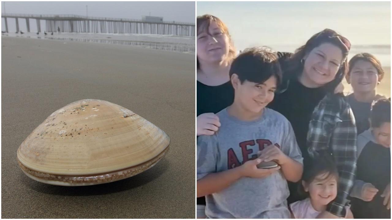 仔女沙灘執72隻蜆執著特有品種，美國單親媽被重罰69萬元。