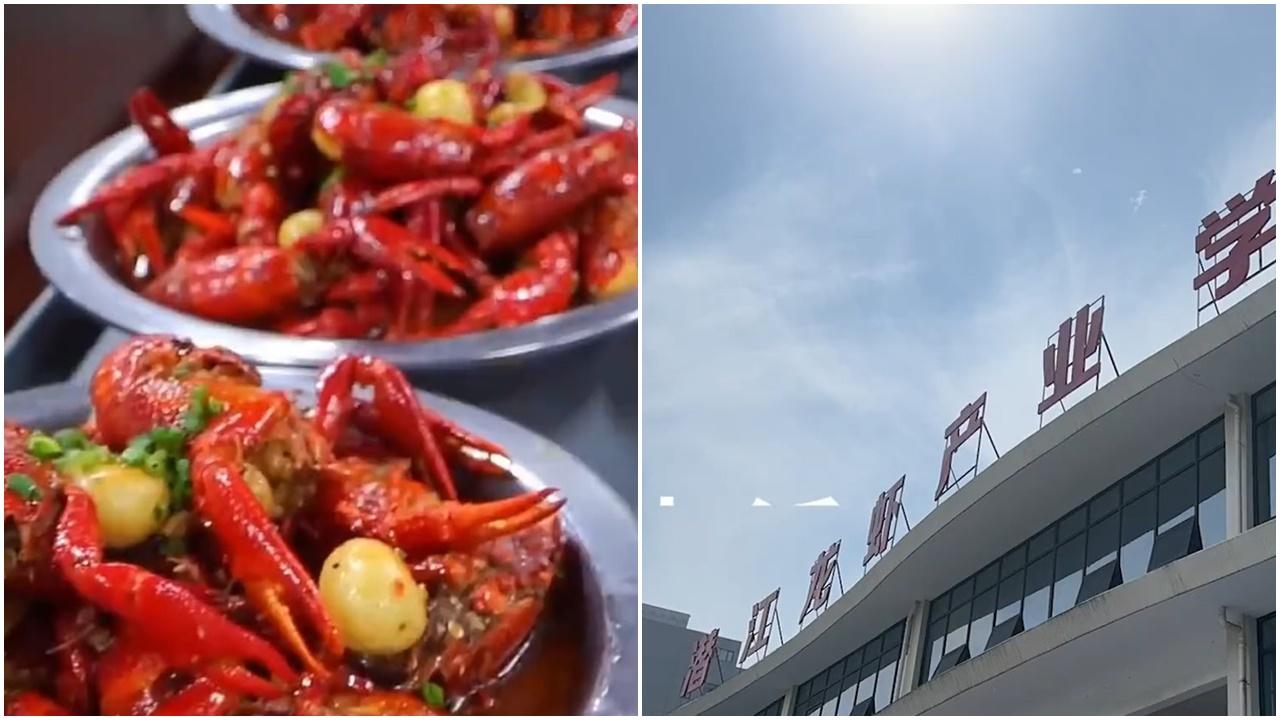 內地首間小龍蝦學院專學燒蝦，院長：學生就業率100%。(微博)