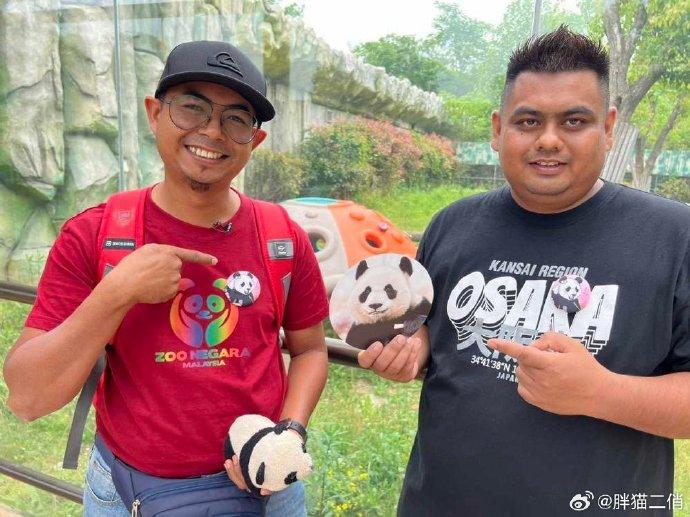 2大馬奶爸遠赴中國，相隔7年再見大熊貓「暖暖」。(微博)
