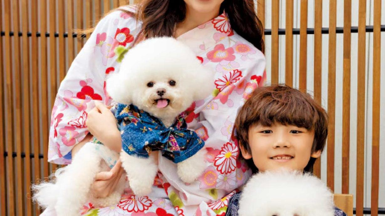 MegaBox初夏家品節暨寵物初夏祭