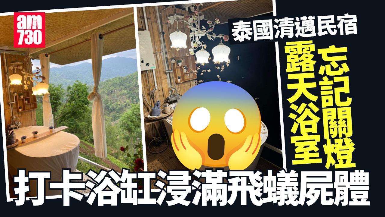 飛蟻大軍入侵清邁民宿 「濃湯屍浴」嚇煞泡澡客如恐怖電影